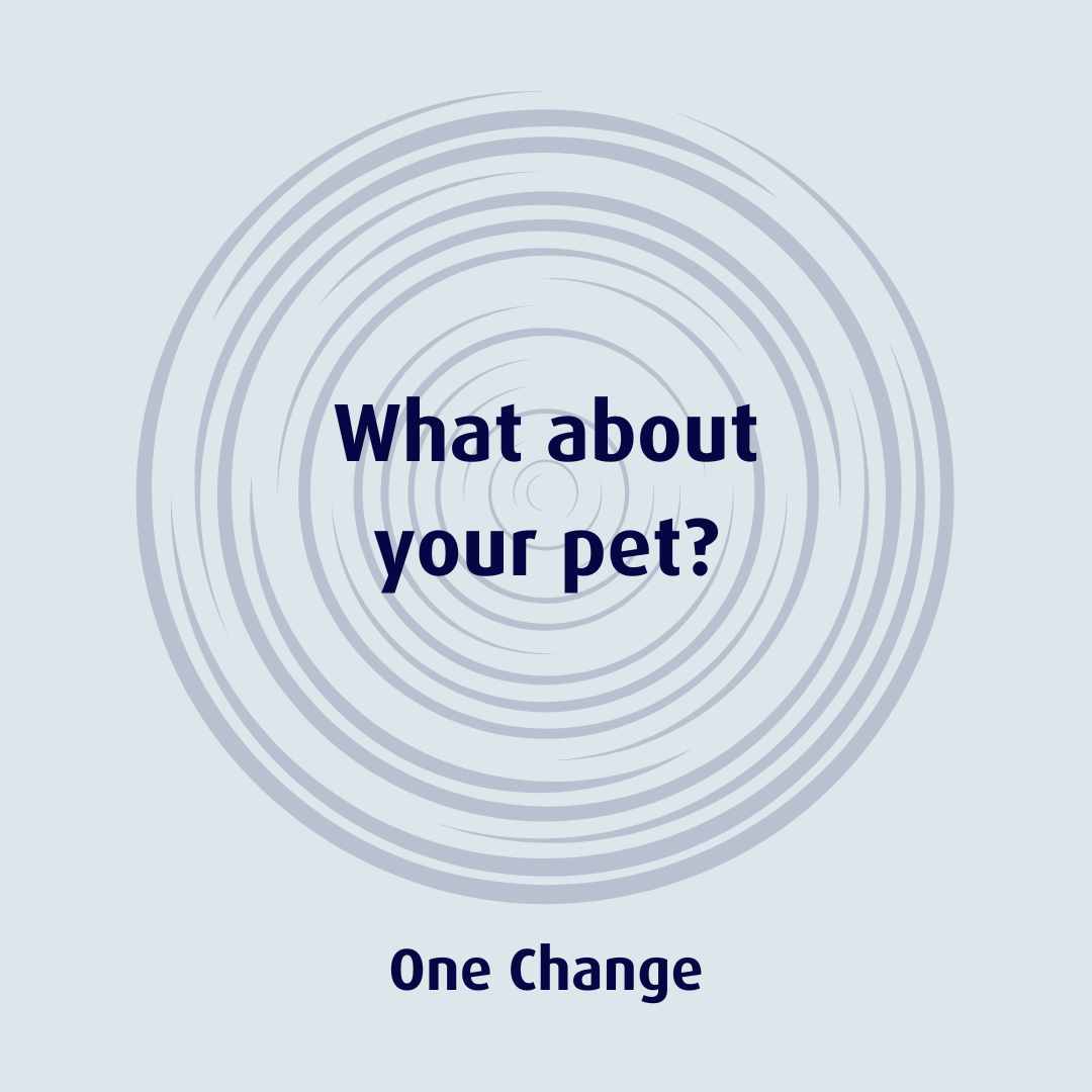 Sustainable Pet Products