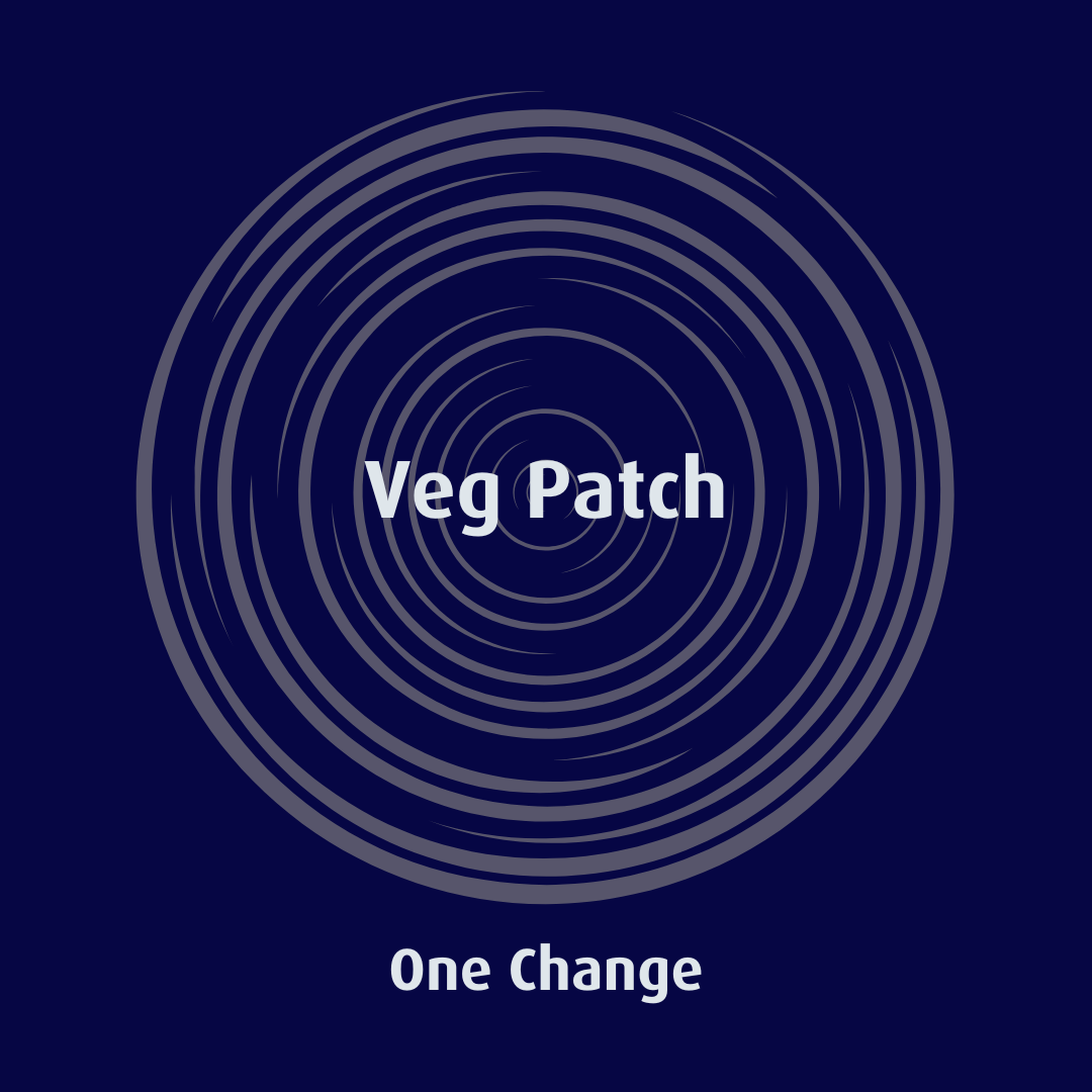Create a Veg Patch