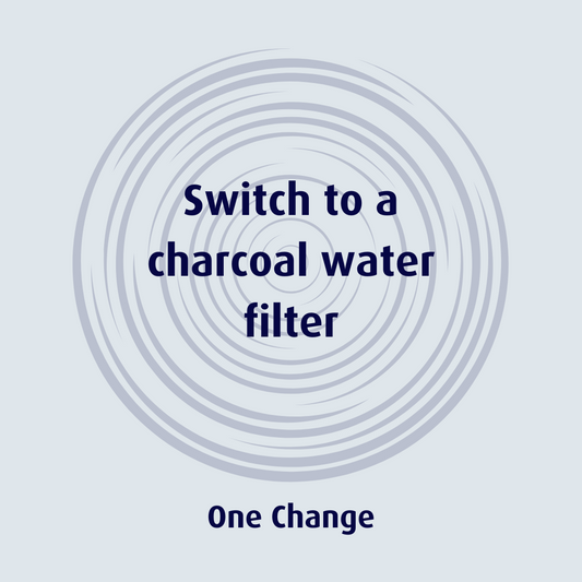 Switch to charcoal in your water filter